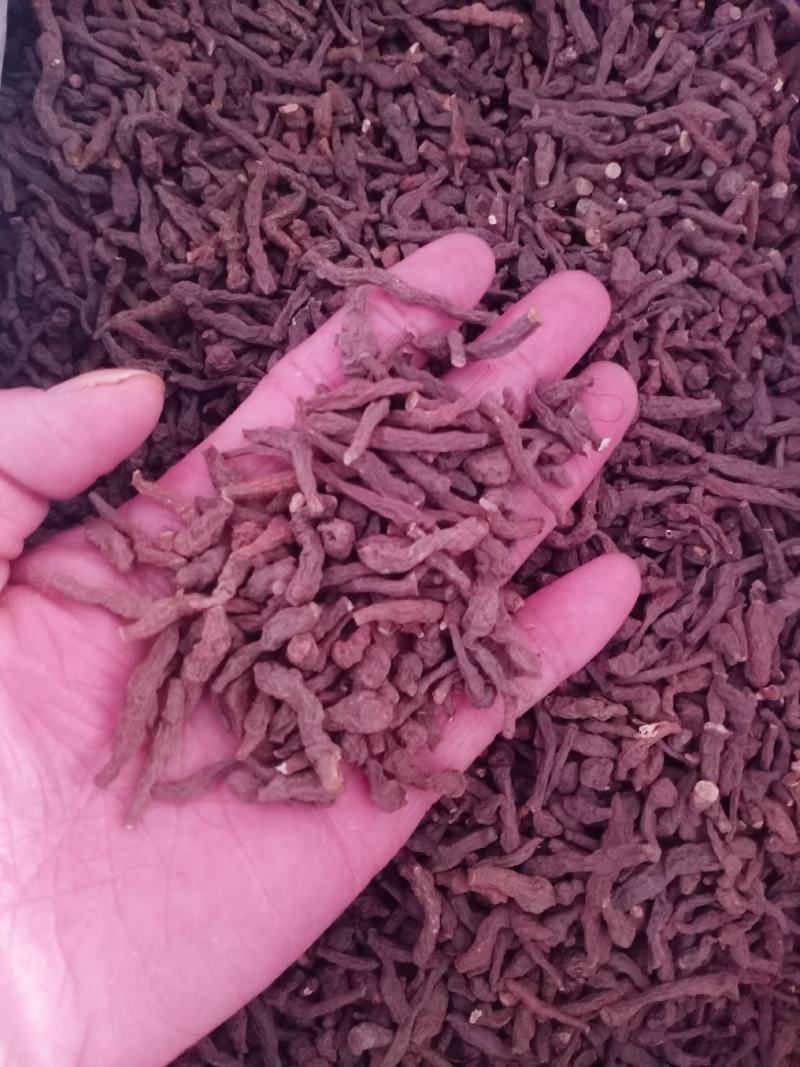 中药材质量保证欢迎咨询选购
