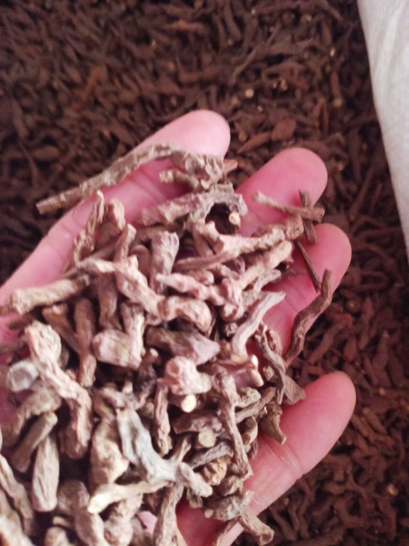 中药材质量保证欢迎咨询选购