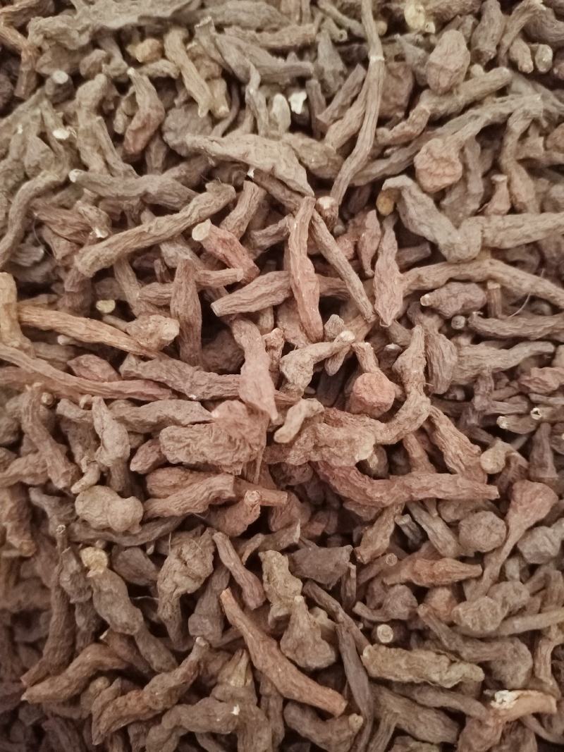 中药材质量保证欢迎咨询选购