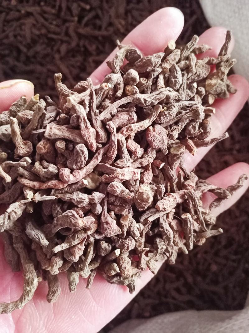 中药材质量保证欢迎咨询选购