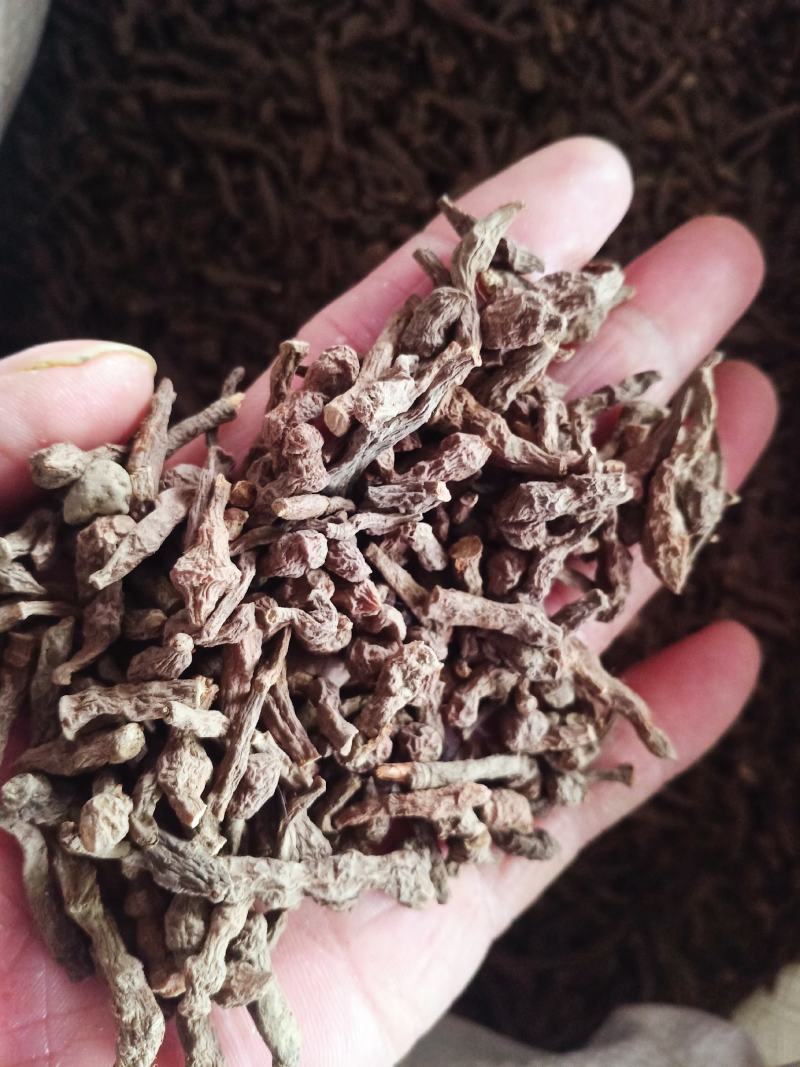 中药材质量保证欢迎咨询选购