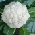 菜花优质白花菜花大量上市产地直供量大从优品质保