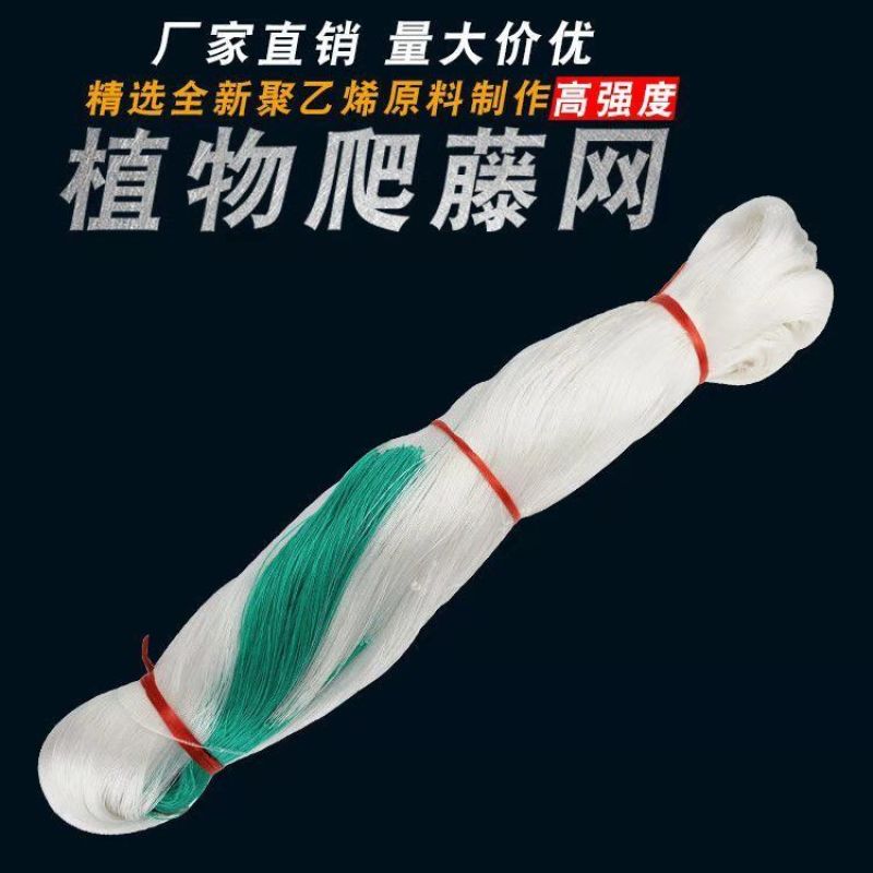 爬藤网山药豆角虹豆黄瓜丝瓜苦瓜吊瓜百香果种植网植物攀爬网