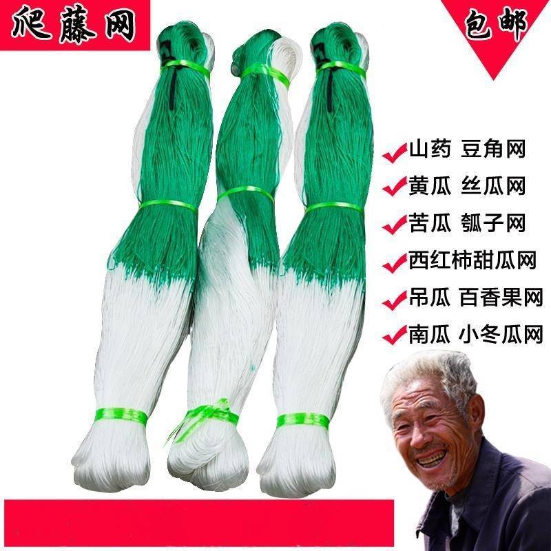 爬藤网山药豆角虹豆黄瓜丝瓜苦瓜吊瓜百香果种植网植物攀爬网