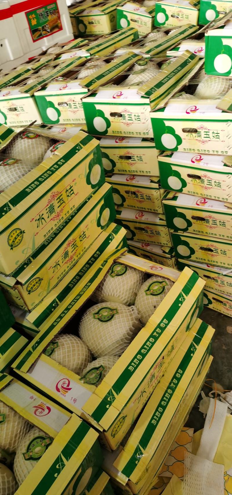 精品玉姑/精品甜瓜香瓜，专业对接超市采购.电商.批发市场