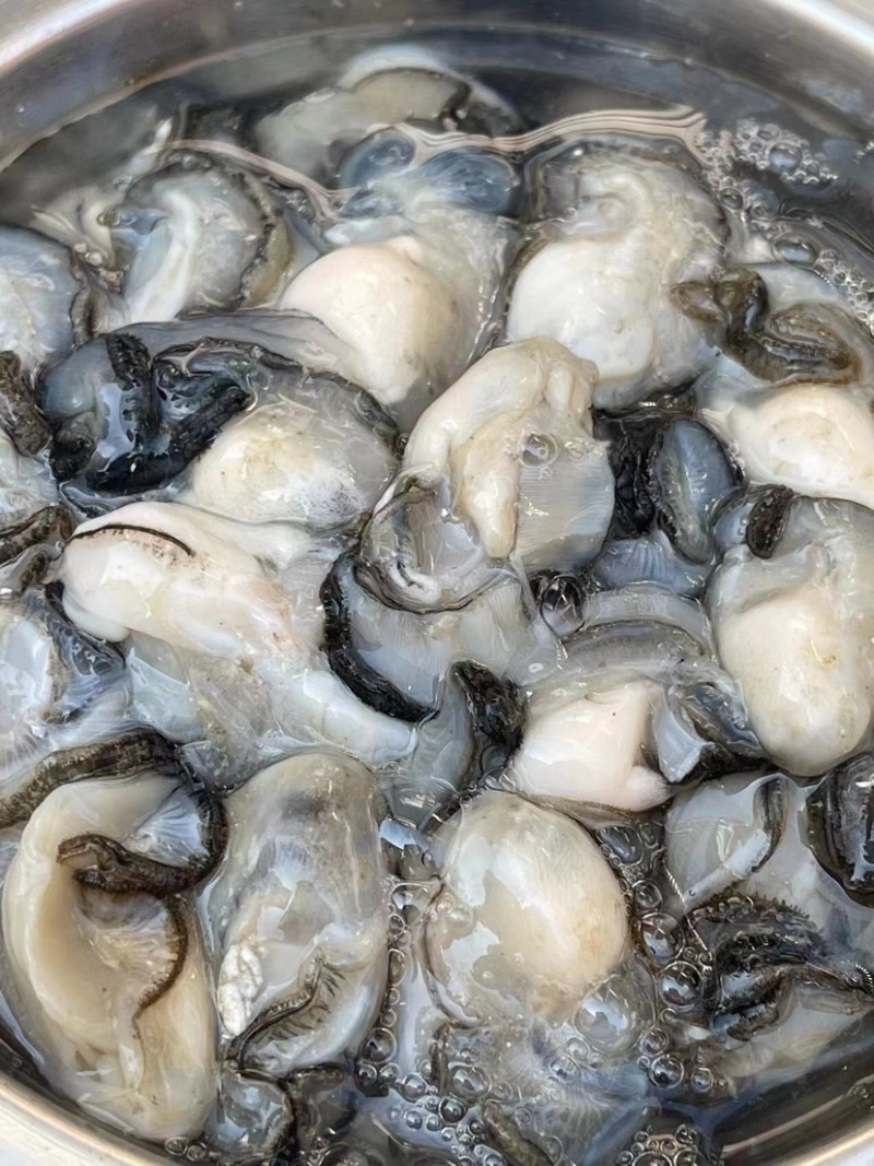 生蚝鲜活带壳牡蛎烧烤店半壳海蛎子烧烤半壳批发