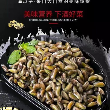 海瓜子新鲜活海鲜水产薄壳米批发饶平贝类特产红肉生鲜