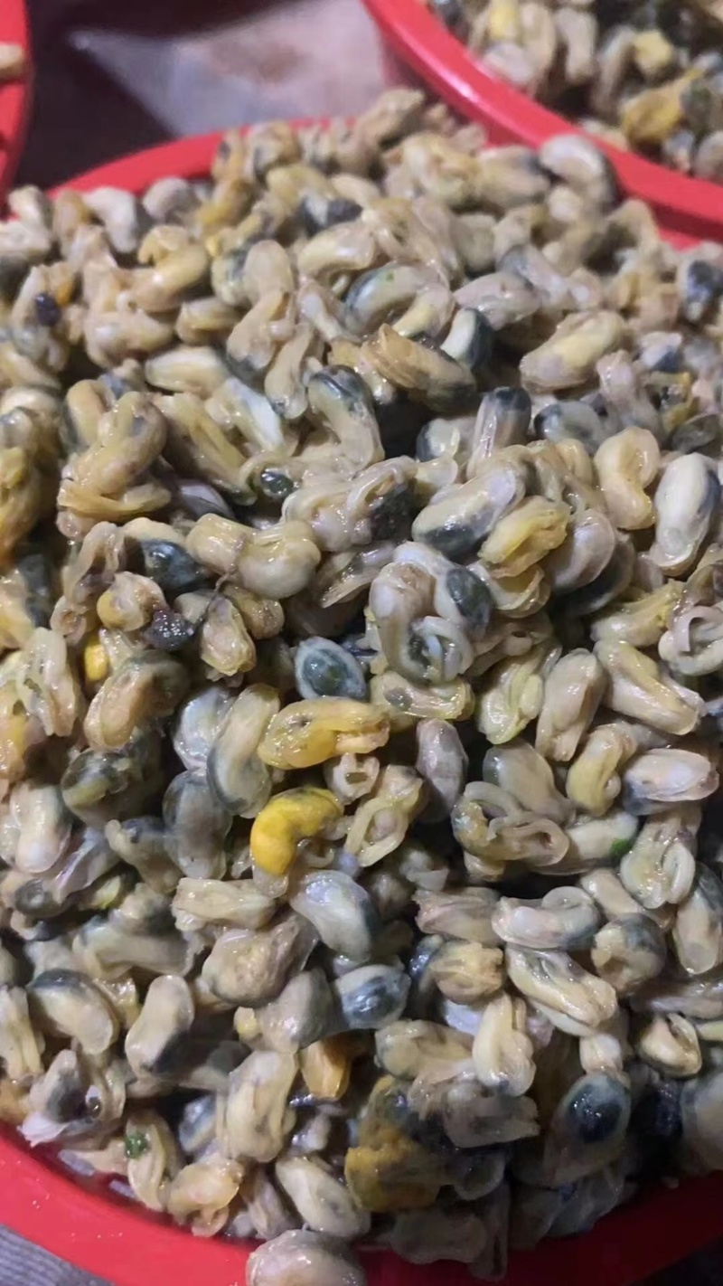 海瓜子新鲜活海鲜水产薄壳米批发饶平贝类特产红肉生鲜