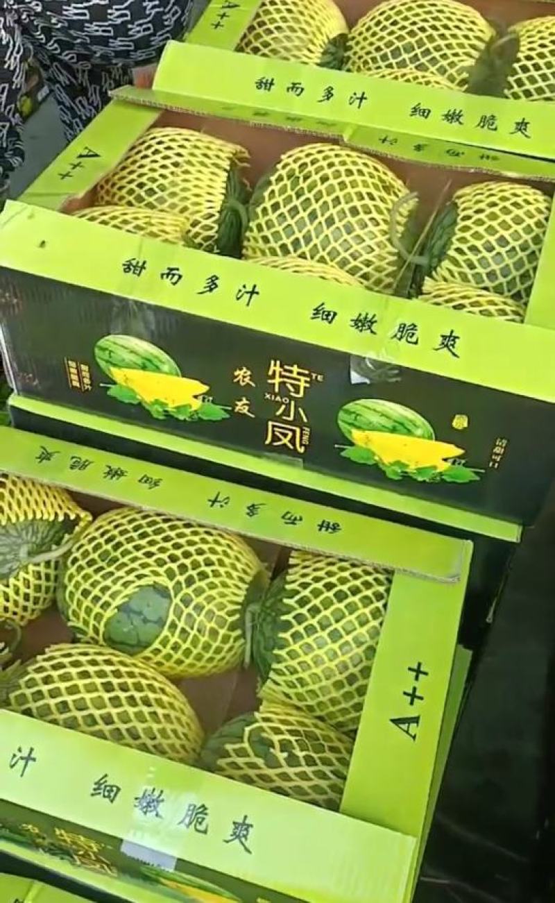 江苏西瓜特小凤西瓜产地直发保质保量可视频看货