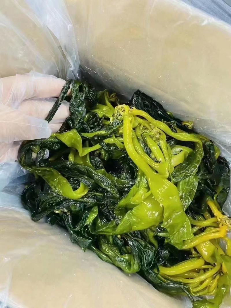 海带苗，海带芽