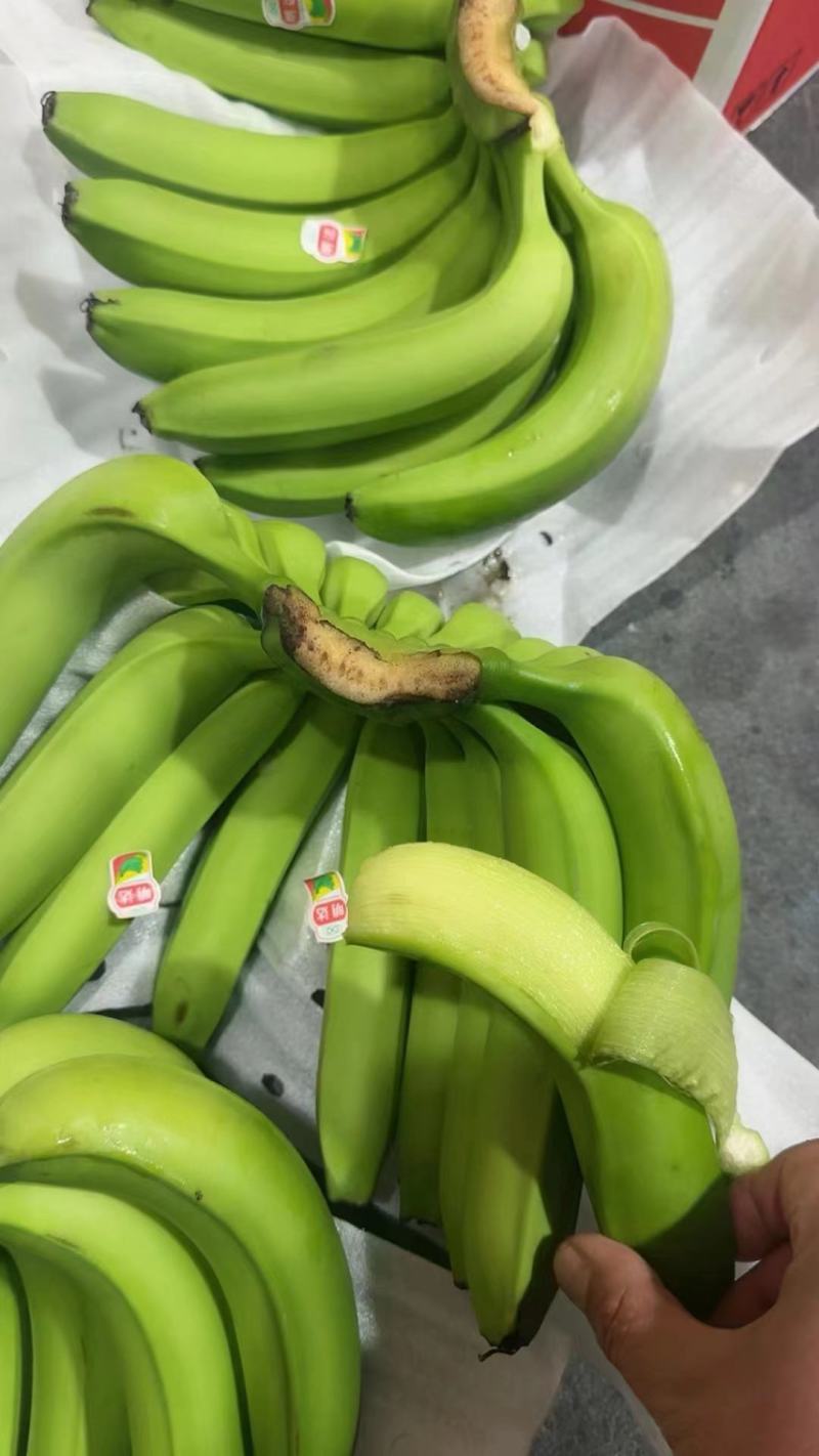 云南三把蕉，果面干净，无受寒。现货
