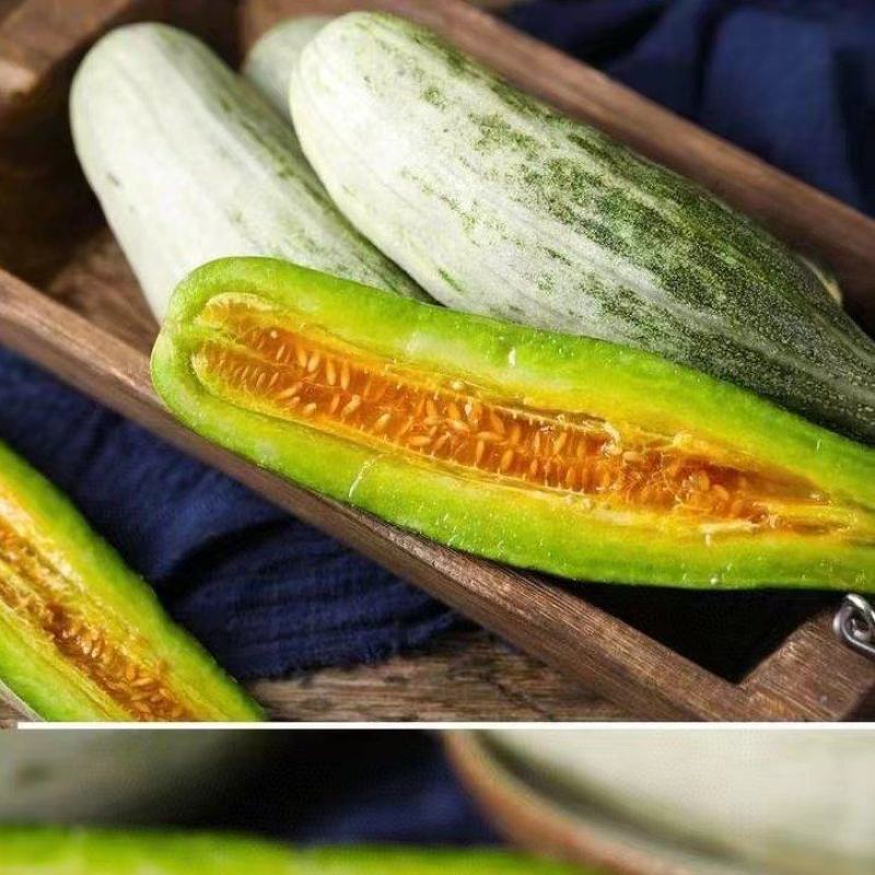 【热卖推荐】山东莘县精品羊角蜜甜瓜大量有货欢迎订购