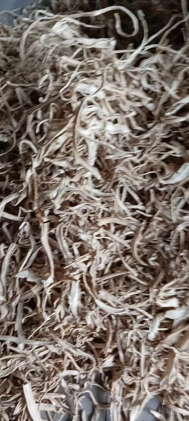 【精选】剑阁野生百部中药材大量有货价格可谈