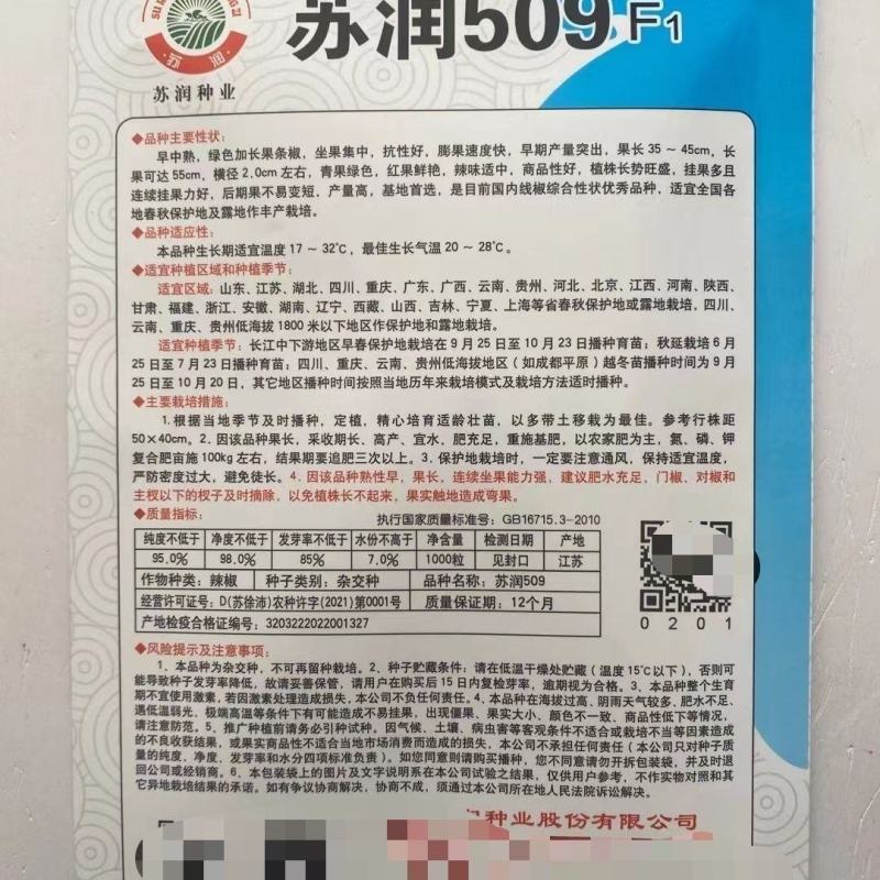 苏润509辣椒种子，挂果多产量高