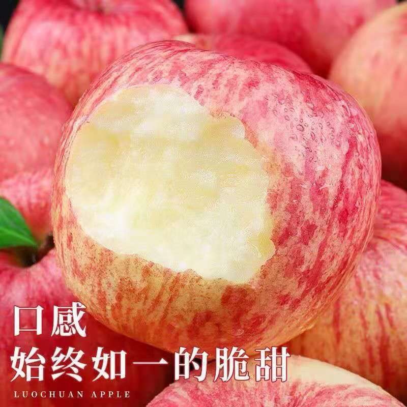 冷鲜苹果红富士苹果基地直供量大价优欢迎电联