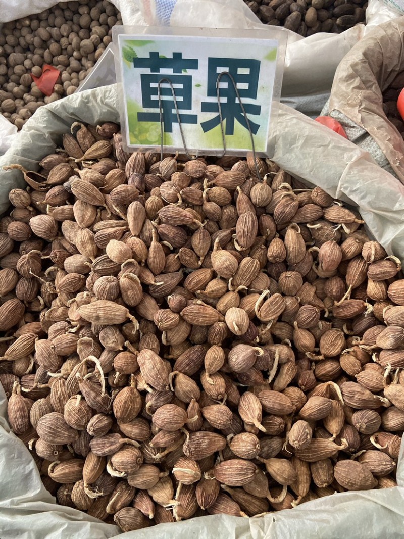云南草果批发大颗粒草香料正宗草果粉炖肉火锅调料