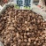 云南草果批发大颗粒草香料正宗草果粉炖肉火锅调料