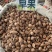 云南草果批发大颗粒草香料正宗草果粉炖肉火锅调料