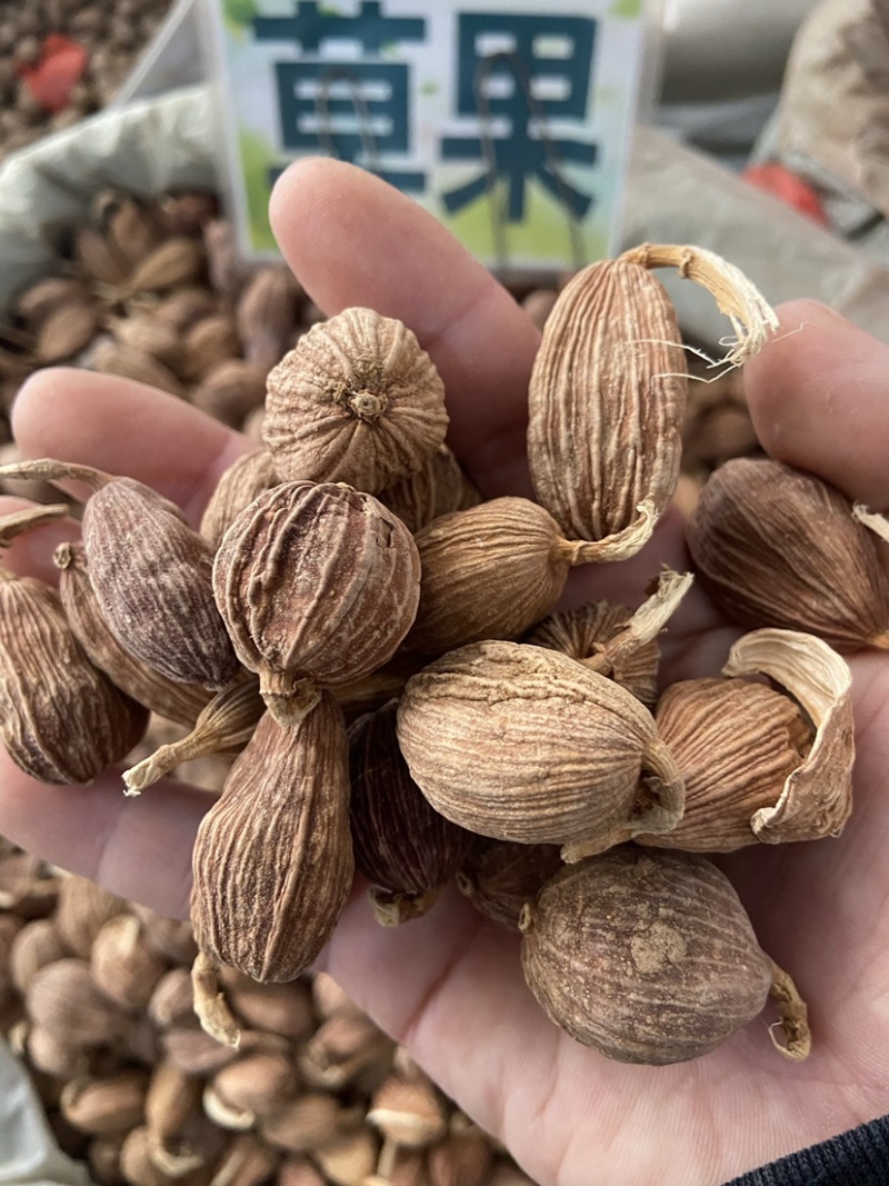 云南草果批发大颗粒草香料正宗草果粉炖肉火锅调料