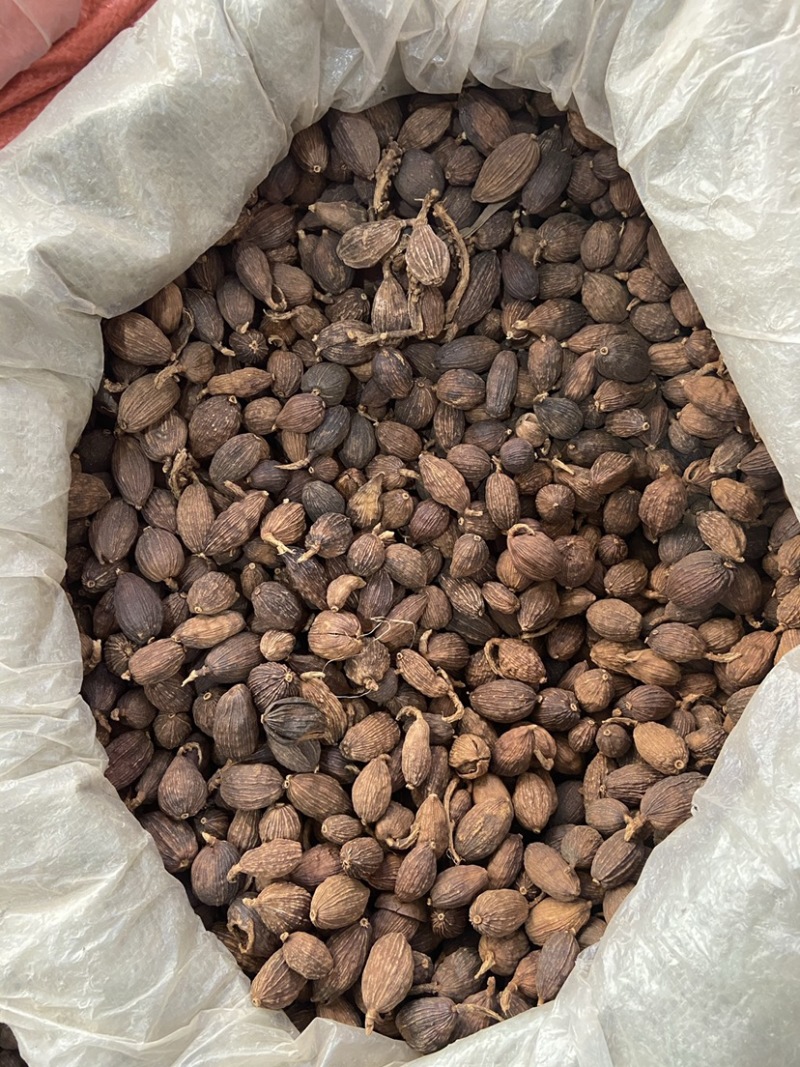 云南草果批发大颗粒草香料正宗草果粉炖肉火锅调料