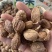 云南草果批发大颗粒草香料正宗草果粉炖肉火锅调料