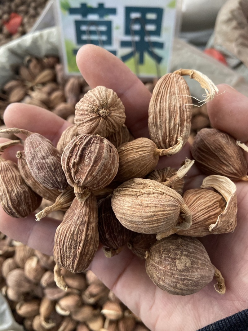 云南草果批发大颗粒草香料正宗草果粉炖肉火锅调料