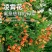 凌霄花