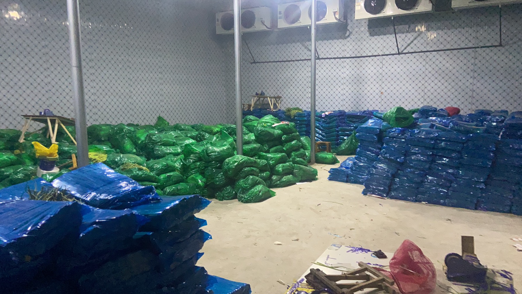 蒜薹与洋葱的储藏方式示意图