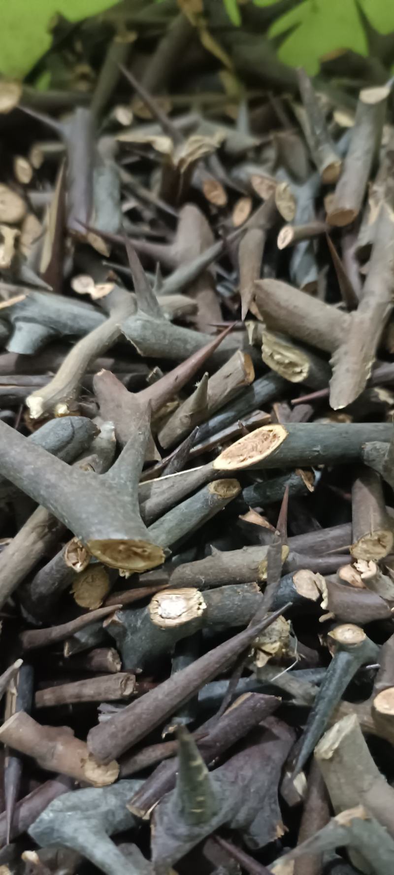皂刺中药材批发货源充足，质量保证，欢迎选购