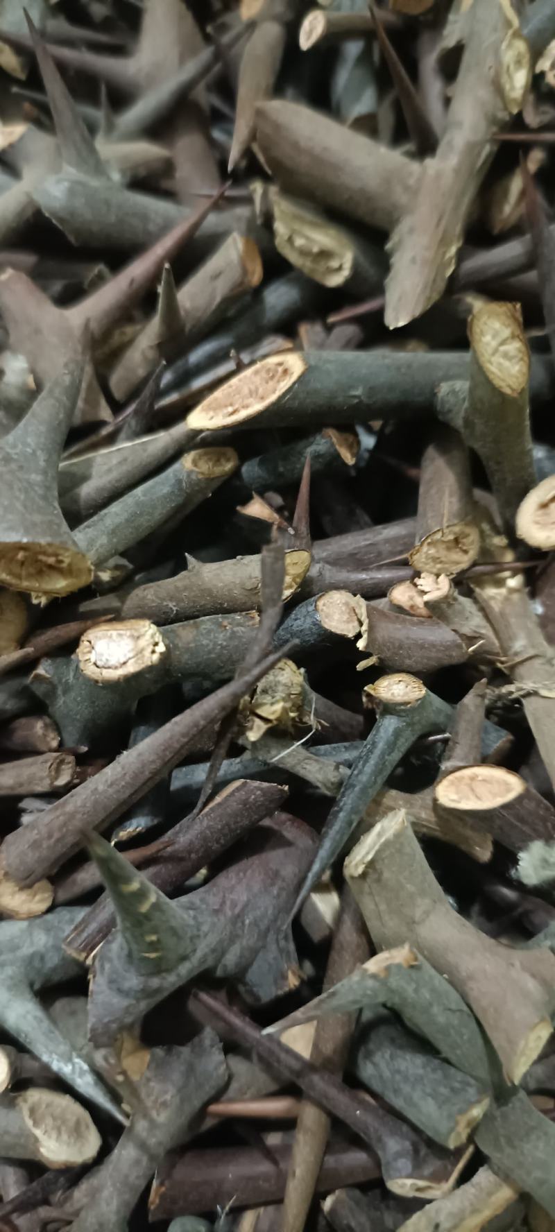 皂刺中药材批发货源充足，质量保证，欢迎选购