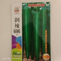 润辣606牛角椒种子品种早中熟青果绿色，杂交一代种子品种