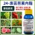汉邦金培24-表芸苔素调节生长植物生长调节剂