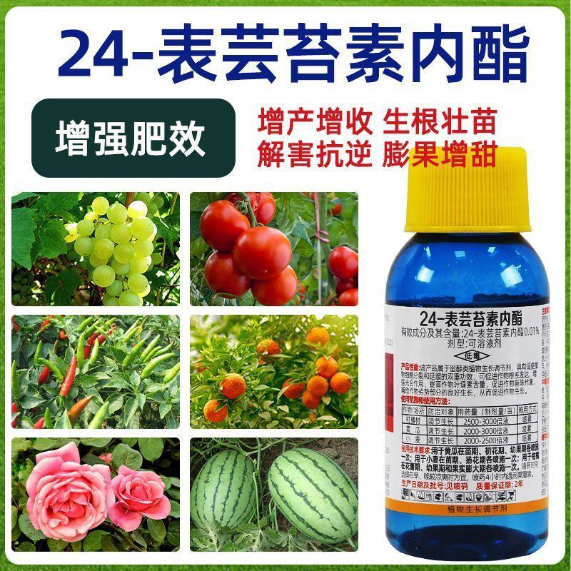 汉邦金培24-表芸苔素调节生长植物生长调节剂