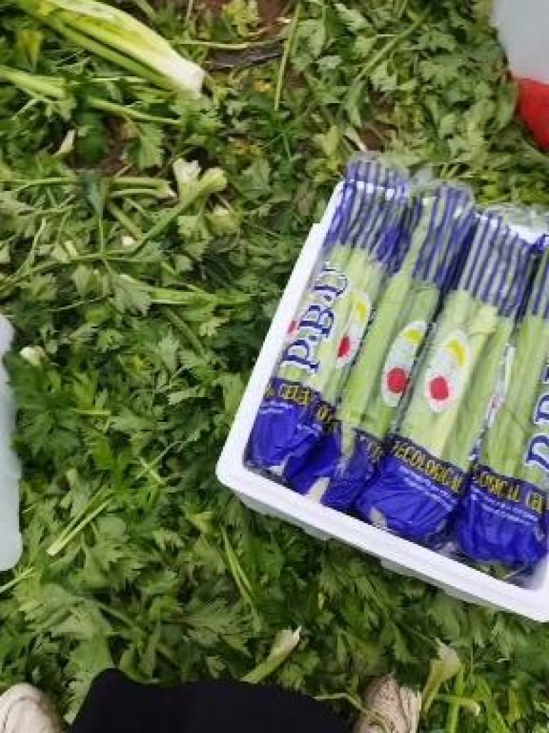 欢迎有慧眼的大老精英们联系让我们共同努力为你带来更好的效
