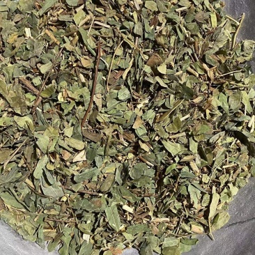 鸡骨草相思叶颜色青中草药鸡骨草