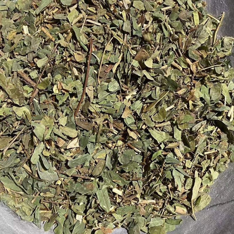 鸡骨草相思叶颜色青中草药鸡骨草