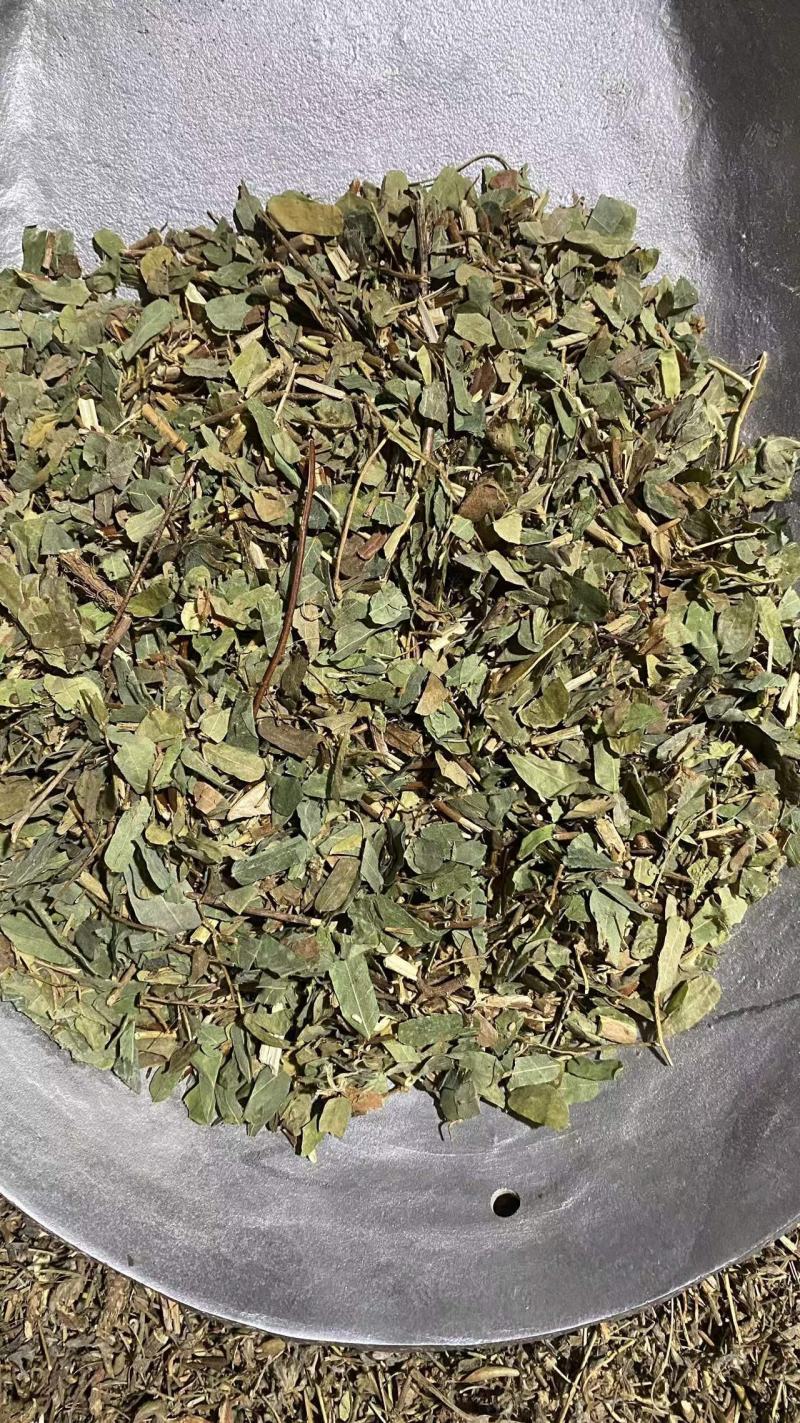 鸡骨草相思叶颜色青中草药鸡骨草