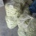 芸豆开始大量上市，欢迎广大客户前来收购销。