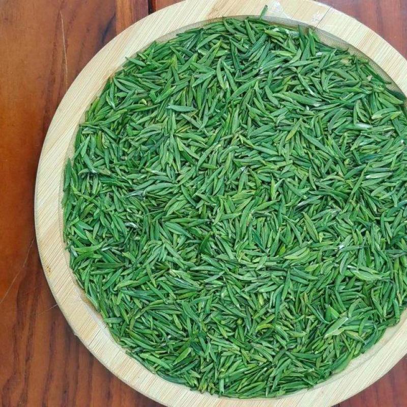 竹叶青2023新茶