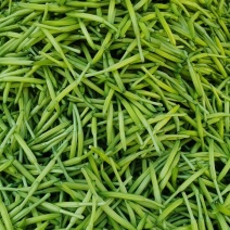 新鲜黄花菜
