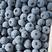 山东蓝莓产地品种多串粒都有现摘现发批发商超电商供应链量大