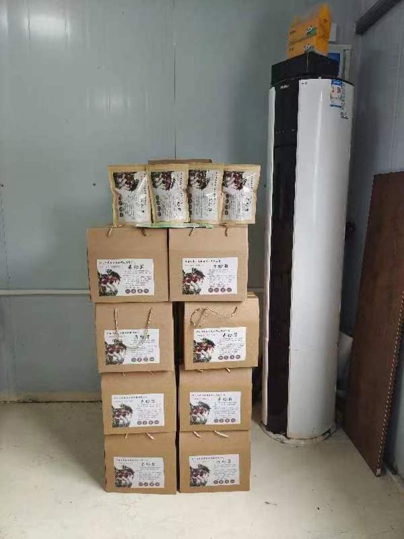 赤松茸