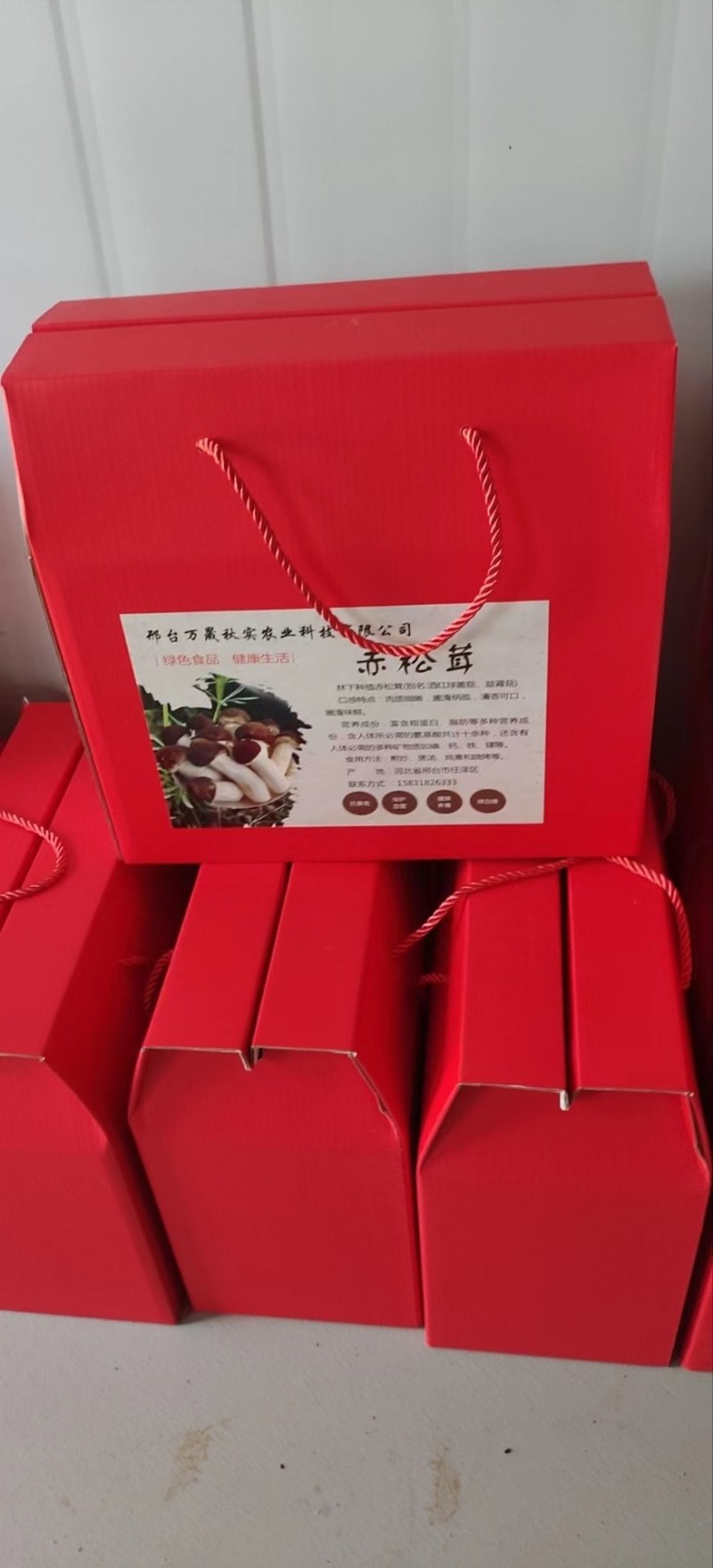 赤松茸