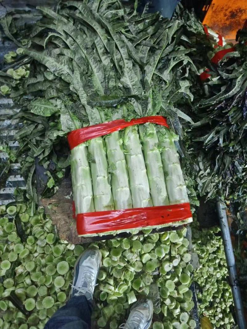 【莴苣】山东精品尖叶莴笋，大量上市中，品质保证，现砍现发