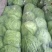 【甘蓝】山东精品甘蓝，货源充足，品质保证，欢迎来电洽谈