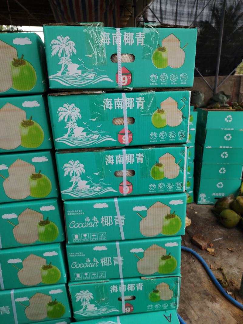 代采代发，各种品质芒果，