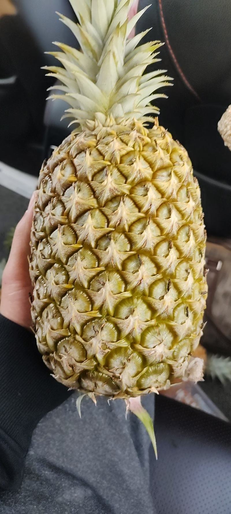 代采代发，各种品质芒果，