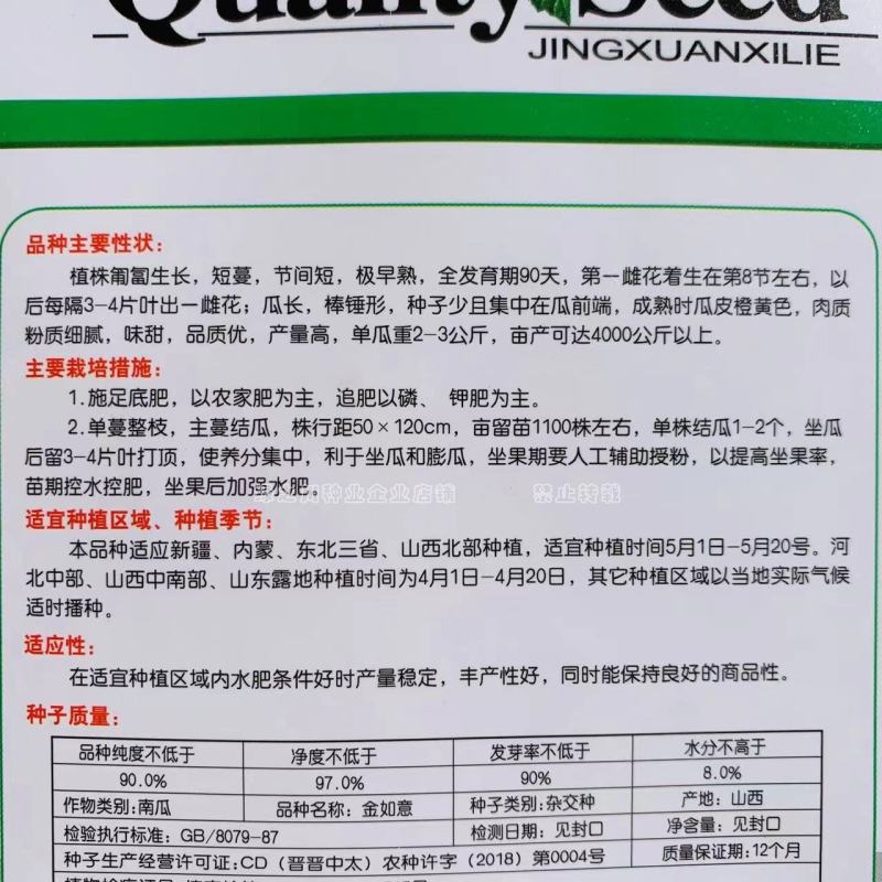 金如意奶油南瓜种子粉质细腻味甜短蔓南瓜种子特早熟