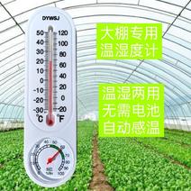 大棚温度计农业高精度种植养殖壁挂式温室大棚内用温湿度计测