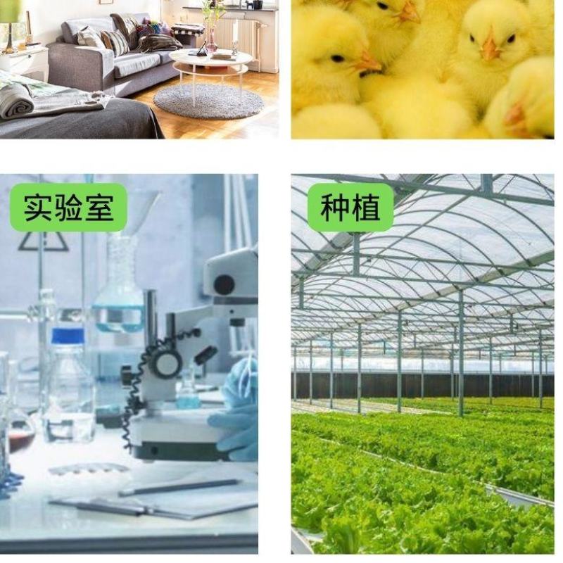 大棚温度计农业高精度种植养殖壁挂式温室大棚内用温湿度计测
